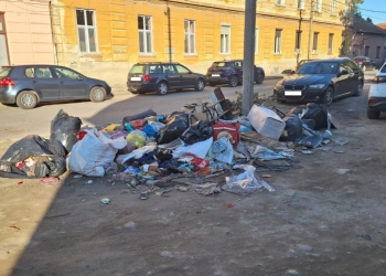 Gunoaiele i-au costat o avere! Poliția Locală Timișoara, amenzi de 128.000 de lei