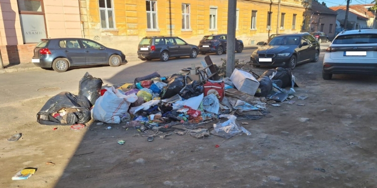 Gunoaiele i-au costat o avere! Poliția Locală Timișoara, amenzi de 128.000 de lei