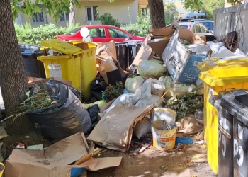 Fără contracte de salubrizare, dar cu pretenții de curățenie. Sute de timișoreni amendați