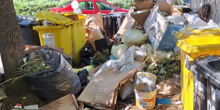 Fără contracte de salubrizare, dar cu pretenții de curățenie. Sute de timișoreni amendați