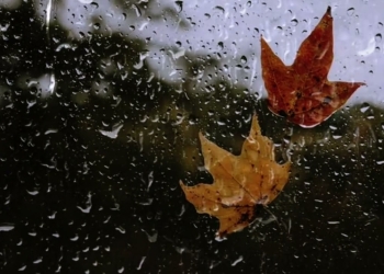 Două grade Celsius la Timișoara, în această noapte! Alertă meteo de vreme deosebit de rece