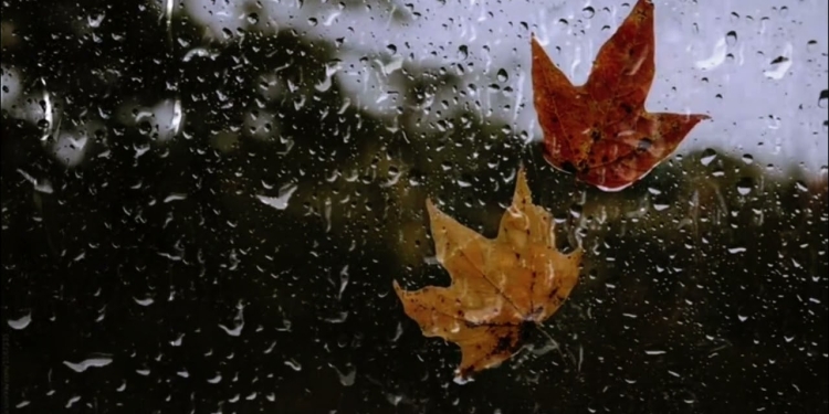 Două grade Celsius la Timișoara, în această noapte! Alertă meteo de vreme deosebit de rece