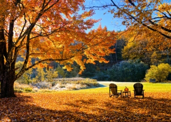 Se încălzește vremea în Banat! Prognoza meteo pentru următoarele două săptămâni