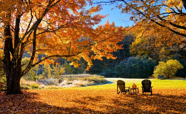 Se încălzește vremea în Banat! Prognoza meteo pentru următoarele două săptămâni