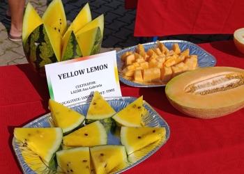 Ziua Internațională a Pepenilor, marcată la USVT FOTO