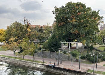 Propunere inedită la Timișoara – outdoor office sau biroul de afară