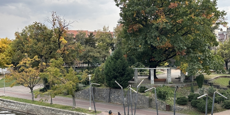 Propunere inedită la Timișoara – outdoor office sau biroul de afară