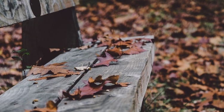 Vreme rece până joi în întreaga Românie! La munte sunt așteptate iar ninsori