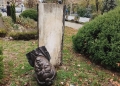 Mai multe statui din Parcul Central din Timișoara, vandalizate FOTO