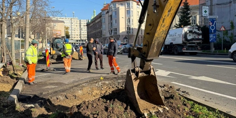 O nouă stație lângă Parcul Botanic pentru timișorenii care circulă cu troleibuzul