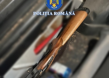 Bărbat din Timiș, reținut pentru braconaj! Polițiștii au găsit în portbagajul mașinii sale un porc mistreț împușcat