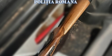 Bărbat din Timiș, reținut pentru braconaj! Polițiștii au găsit în portbagajul mașinii sale un porc mistreț împușcat