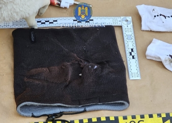 Mașină incendiată în miez de noapte la Satchinez: un bărbat, arestat pentru incendiere