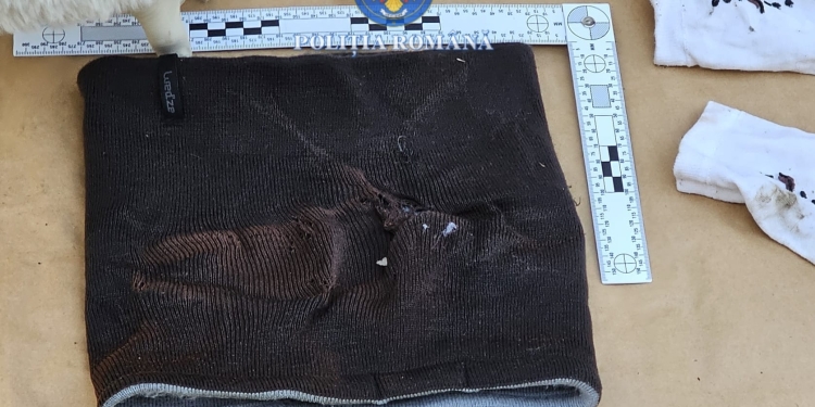 Mașină incendiată în miez de noapte la Satchinez: un bărbat, arestat pentru incendiere