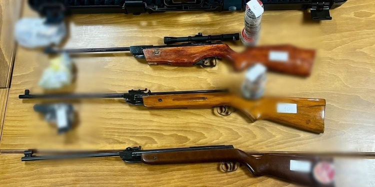 Arme și muniție deținute ilegal de mai multe persoane din Timiș