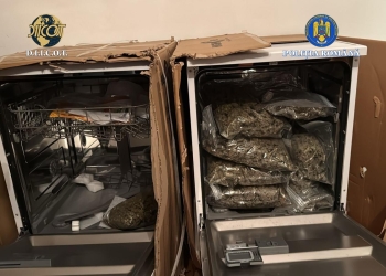 Droguri ascunse în electrocasnice. Descoperirea polițiștilor după perchezițiile din Timiș