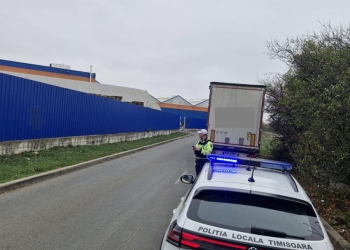 Camioanele și tirurile care trec prin Timișoara, la control