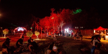 Consiliul Județean Timiș susține Electroruga de Buzad, o experiență culturală inedită