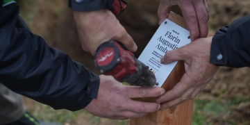 Noi arbori plantați pe Aleea Libertății din Timișoara! Vor purta numele unor revoluționari FOTO