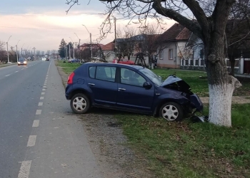 O mașină s-a oprit într-un copac, pe un drum din Timiș! Un bătrân a ajuns la spital