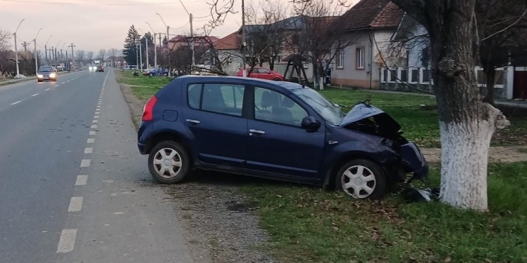 O mașină s-a oprit într-un copac, pe un drum din Timiș! Un bătrân a ajuns la spital