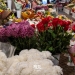 Flori proaspete și colorate, direct de la producători, în piețele din Timișoara FOTO
