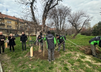 11 arbori plantați la Timișoara, în memoria eroilor Revoluției din Decembrie 1989