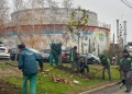 Plantări și regenerare urbană în Timișoara: lucrările merg mai departe