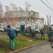 Plantări și regenerare urbană în Timișoara: lucrările merg mai departe