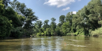 Avansează proiectul „podului verde” peste râul Mureș, care va lega județul Timiș de Ungaria