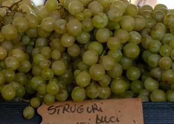 Toamna aduce belșug de produse locale în piețele din Timișoara FOTO