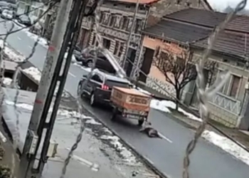 Act de cruzime! Câine târât după o mașină printr-un sat din Banat