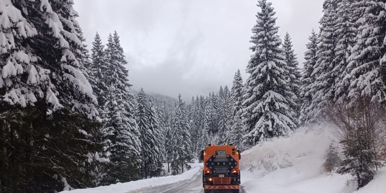 Zeci de utilaje au răspândit material antiderapant pe drumurile din Timiș