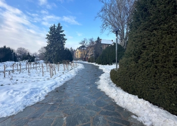 Continuă intervențiile în parcurile din Timișoara după formarea gheții