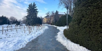 Continuă intervențiile în parcurile din Timișoara după formarea gheții