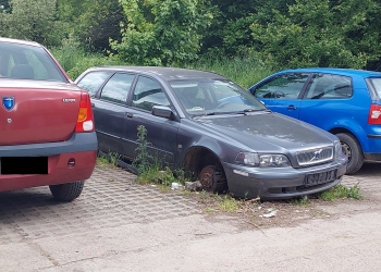 Peste 2.000 de rable, ridicate anul trecut de pe străzile Timișoarei FOTO