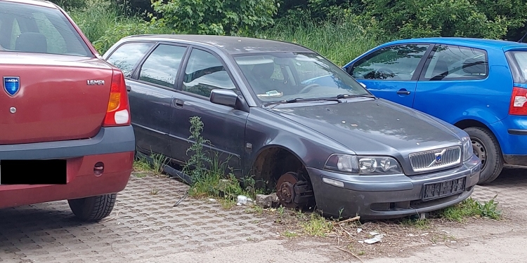 Peste 2.000 de rable, ridicate anul trecut de pe străzile Timișoarei FOTO