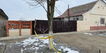 Criminalii minori au plănuit timp de o lună uciderea băiatului de 15 ani din Cenei