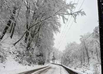 Gata cu problemele după ninsori! Toate localitățile din Timiș, alimentate cu energie electrică