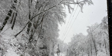 Gata cu problemele după ninsori! Toate localitățile din Timiș, alimentate cu energie electrică