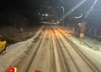 Zăpada a mobilizat și utilajele de deszăpezire de pe drumurile județene din Timiș