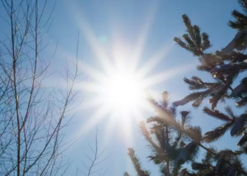 Vreme oscilantă în Banat, în următoarele două săptămâni