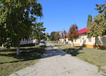 Un bărbat condamnat penal, internat la Spitalul de Psihiatrie din Jebel, a evadat! Polițiștii l-au prins în scurt timp