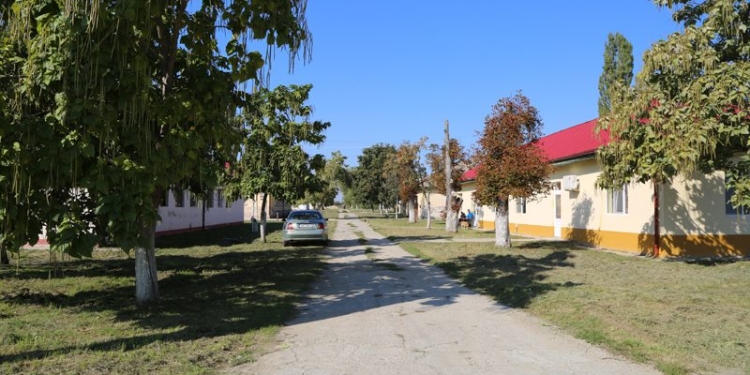 Un bărbat condamnat penal, internat la Spitalul de Psihiatrie din Jebel, a evadat! Polițiștii l-au prins în scurt timp