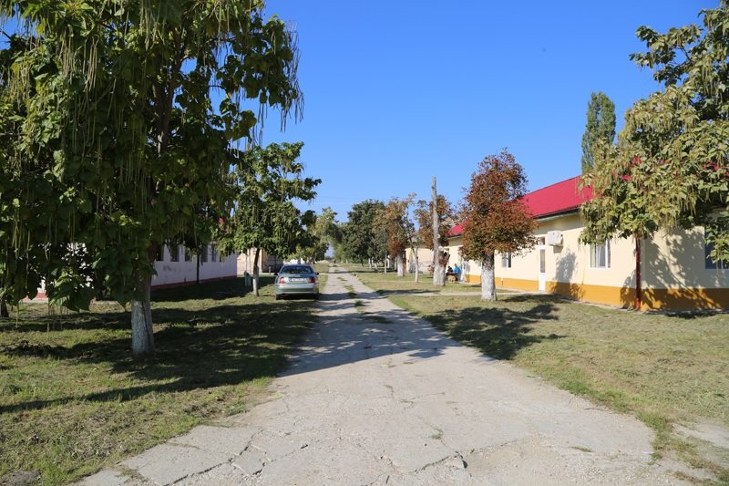 Un bărbat condamnat penal, internat la Spitalul de Psihiatrie din Jebel, a evadat! Polițiștii l-au prins în scurt timp