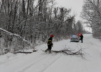 150 de intervenții ale salvatorilor timișeni în ultimele 48 de ore