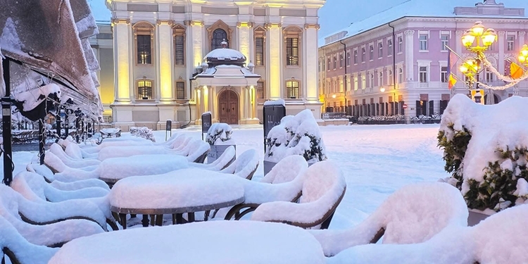 Dominic Fritz, primarul Timișoarei: „Ultima iarnă cu așa multă zăpadă la Timișoara a fost în 2012”