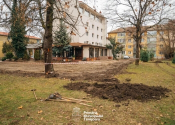 Primăria Timișoara a început amenajarea terenului recuperat din Parcul Zürich