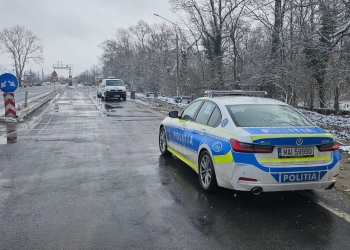 Nu se învață minte! Peste 150 de șoferi amendați pe DN 6, în Timiș, în câteva ore