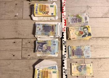 Cu mascații la ușă. Angajați silvici din vestul țării, suspectați și de tăieri ilegale de arbori